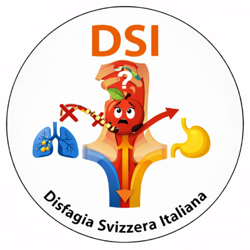 Logo DSI